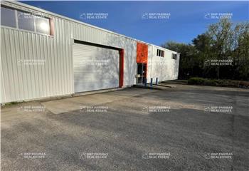 Location activité/entrepôt Metz (57070) - 365 m²  à Metz - 57000