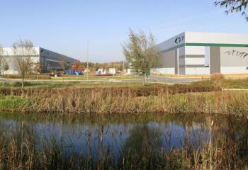 Entrepôt logistique à louer - Parc de Chanteloup  à Moissy-Cramayel - 77550