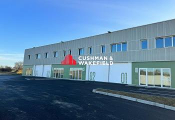 Location activité/entrepôt Mondouzil (31850) - 664 m²  à Mondouzil - 31850