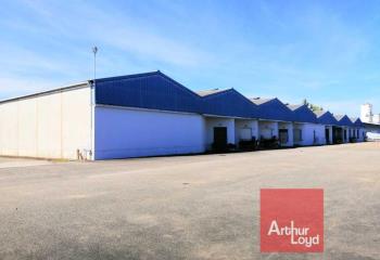 Location activité/entrepôt Montauban (82000) - 9500 m²  à Montauban - 82000