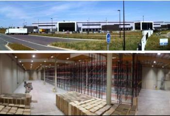 Location local d'activité - Proche Toulouse - 55000 m² divisible  à Montbartier - 82700