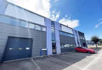 Location activité/entrepôt Mundolsheim (67450) - 335 m²  à Mundolsheim - 67450