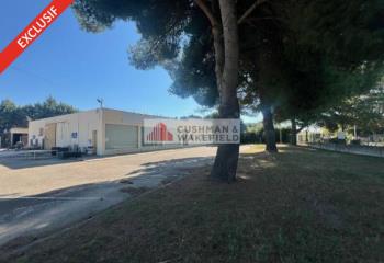 Locaux d'activités à louer - Proximité A9  à Nîmes - 30000