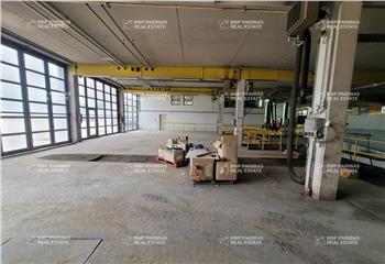 Location activité/entrepôt Noisy-le-Grand (93160) - 1150 m²  à Noisy-le-Grand - 93160