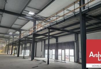 Locaux d'activités à louer - Parc Veellage - Proche A7  à Pierrelatte - 26700