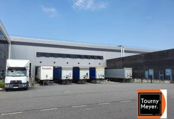 Location activité/entrepôt Plaisance-du-Touch (31830) - 28000 m²  à Plaisance-du-Touch - 31830
