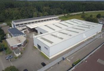 Location local d'activité - Proximité Strasbourg et A4  à Reichstett - 67116