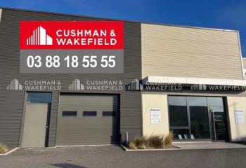 Location activité/entrepôt Reichstett (67116) - 249 m²