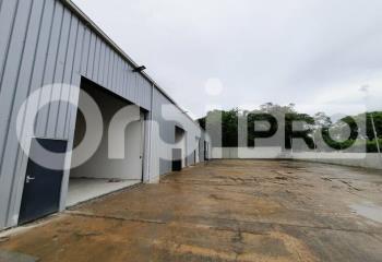 Location activité/entrepôt Remire-Montjoly (97354) - 146 m²