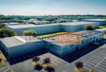 Location activité/entrepôt Roncq (59223) - 300 m²
