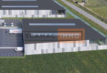 Location activité/entrepôt Roncq (59223) - 3065 m²
