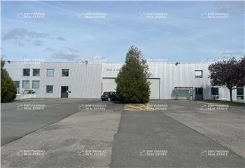 Location activité/entrepôt Roncq (59223) - 500 m²  à Roncq - 59223