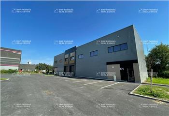 Location local d'activités - Parc du Mélantois  à Sainghin-en-Mélantois - 59262