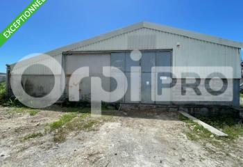 Location activité/entrepôt Saint-François (97118) - 520 m²