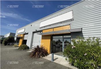 Location activité/entrepôt Saint-Gilles (35590) - 255 m²