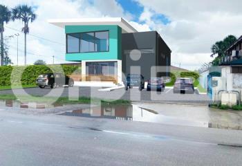 Location activité/entrepôt Saint-Laurent-du-Maroni (97320) - 212 m²