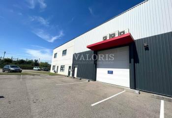 Location local d'activité - D311 - A43  à Saint-Quentin-Fallavier - 38070