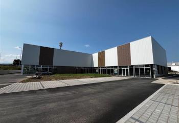 Location activité/entrepôt Sélestat (67600) - 912 m²  à Sélestat - 67600