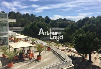 Location activité/entrepôt Sophia Antipolis (06560) - 329 m²  à Sophia Antipolis - 06560