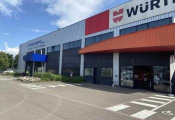Local d'activité à louer - Proximité A4/A35  à Souffelweyersheim - 67460