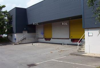 Local d'activité à louer - Proximité A6 et N104