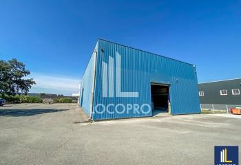 Location activité/entrepôt Vedène (84270) - 817 m²  à Vedène - 84270