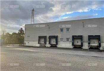 Location activité/entrepôt Vieux-Thann (68800) - 1000 m²  à Vieux-Thann - 68800
