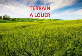 Terrain à louer - accès A46 et bus  à Genay - 69730