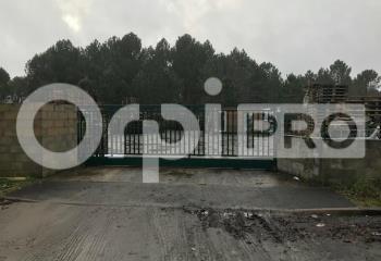 Location terrain Saint-Jean-d'Illac (33127) - 2510 m²  à Saint-Jean-d'Illac - 33127