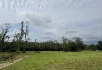 Location terrain Vernou-la-Celle-sur-Seine (77670) - 7000 m²  à Vernou-la-Celle-sur-Seine - 77670