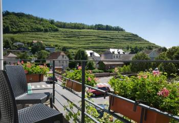 Local commercial à vendre Guebwiller (68500) - 2000 m²  à Guebwiller - 68500