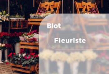 Fonds de commerce commerces de proximité à vendre Loire-Atlantique