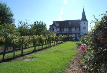 Local commercial à vendre Monségur (64460) - 440 m²