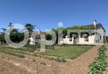 Local commercial à vendre Montauban (82000) - 1020 m²