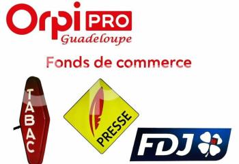 Fonds de commerce commerces de proximité à vendre Saint-François (97118)