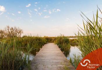 Vente local commercial - Camargue  à Saint-Laurent-d'Aigouze - 30220