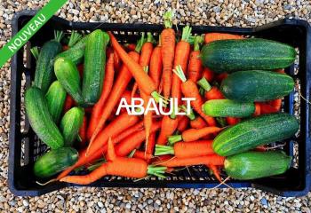 Fonds de commerce commerces alimentaires à vendre Toulouse (31000)