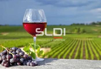 Vente local commercial - Beaujolais  à Villié-Morgon - 69910