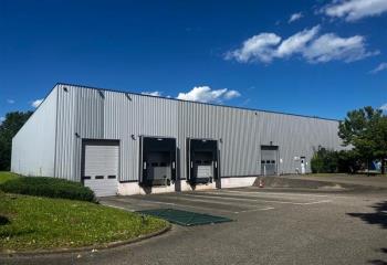 Activité/Entrepôt à vendre Erstein (67150) - 3618 m²  à Erstein - 67150