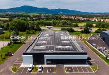 Bâtiment d'activités à vendre - Parc d'activité du Piémont  à Goxwiller - 67210