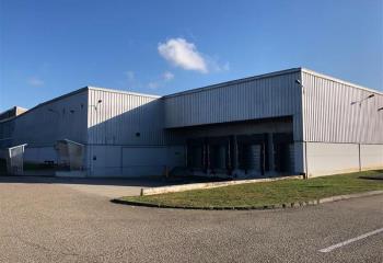 Activité/Entrepôt à vendre Illkirch-Graffenstaden (67400) - 11656 m²  à Illkirch-Graffenstaden - 67400