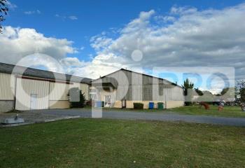 Activité/Entrepôt à vendre Limoges (87000) - 507 m²