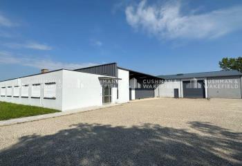 Activité/Entrepôt à vendre Mundolsheim (67450) - 2260 m²  à Mundolsheim - 67450