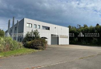 Locaux d'activité à vendre - Zone Birgelsgaerten