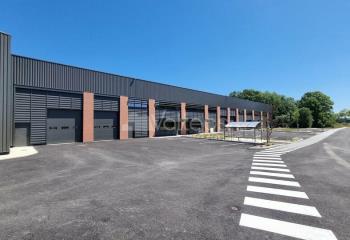 Local d'activité à vendre - Proche aéroport Blagnac  à Pibrac - 31820