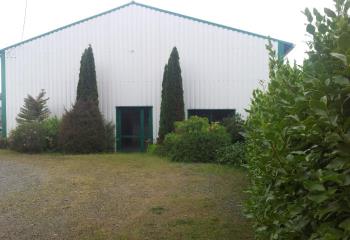 Activité/Entrepôt à vendre Plérin (22190) - 375 m²