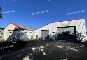 Activité/Entrepôt à vendre Plouzané (29280) - 265 m²