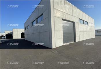 Activité/Entrepôt à vendre Puget-sur-Argens (83480) - 513 m²