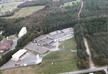 Locaux d'activités à vendre - Proximité RD 775  à Questembert - 56230