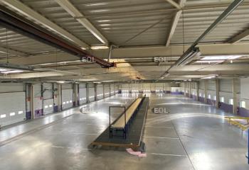 Activité/Entrepôt à vendre Souffelweyersheim (67460) - 2994 m²  à Souffelweyersheim - 67460